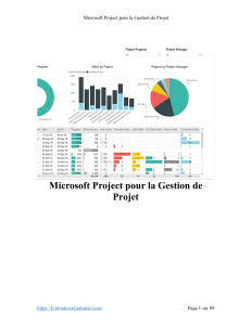 Microsoft Project: Cours de Gestion de Projet