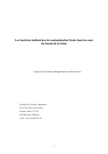 Bactéries indicatrices de contamination fécale dans le bassin de la Seine