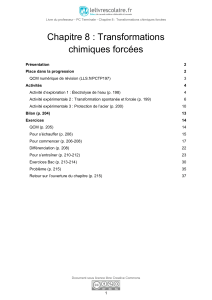 Guide du professeur : Transformations chimiques forcées