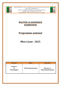 Master Réseaux et Télécommunications : Programme de Cours