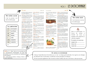 Le Dictionnaire et le Vocabulaire Français : Guide Complet