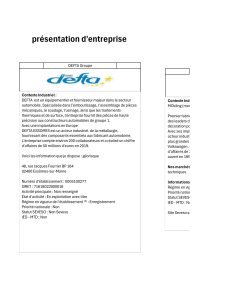 Présentation DEFTA & Safe DEMO: Analyse des risques