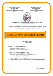 Canevas Épreuves BTS Cameroun: Secteurs Primaire & Quaternaire