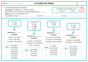 Frs P3 - Le pluriel des noms - Synthèse