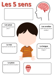Les 5 sens : Vue, Ouïe, Odorat, Goût, Toucher - Fiche pédagogique
