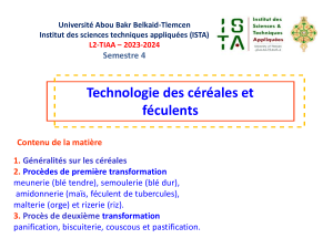 Technologie des c&eacute;r&eacute;ales et f&eacute;culents : Cours complet