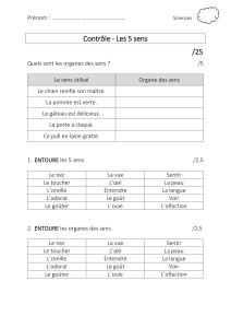 Eveil P3 - Les 5 sens - Contrôle