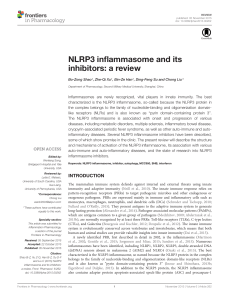 NLRP3 Inflammasome & Inhibitors: Structure, Activation, Disease Review
