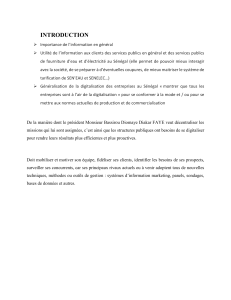 Transformation numérique des services publics au Sénégal