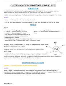 Électrophorèse des protéines sériques (EPP): Principes et Pratique