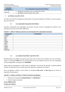 TP 5 MS-DOS : Gestion des fichiers et redirection de flux en Système d'Exploitation