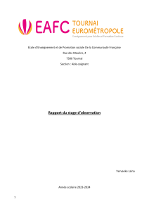 Rapport de stage Aide-soignant: Observations et réflexions