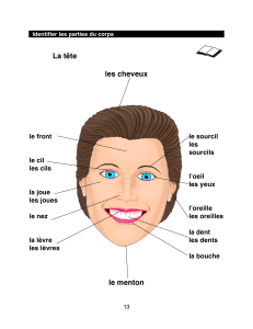 Parties du corps : Exercices de vocabulaire en français