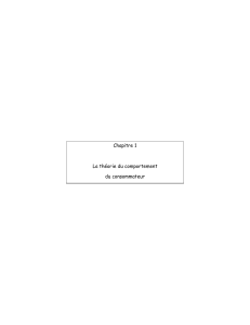 La théorie du comportement du consommateur- 38 pages