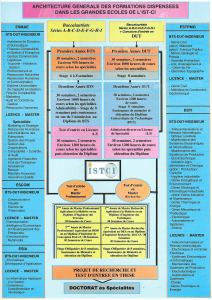 Architecture des Formations IST-CI: BTS, DUT, Licence, Master, Doctorat