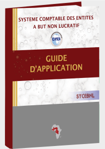 Guide d'application SYCEBNL: Comptabilit&eacute; des entit&eacute;s &agrave; but non lucratif