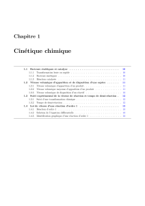 Cinétique Chimique : Facteurs, Vitesse et Ordre 1