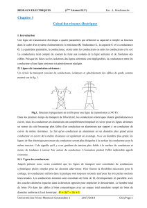 Calcul des R&eacute;seaux &Eacute;lectriques: Lignes de Transmission et Param&egrave;tres