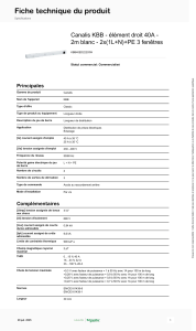 Schneider Electric Canalis-KBB KBB40ED22203W