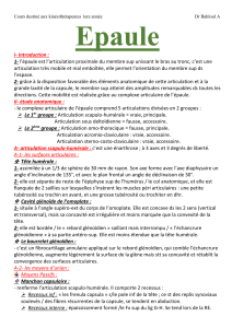 Cours d'anatomie de l'épaule pour kinésithérapeutes