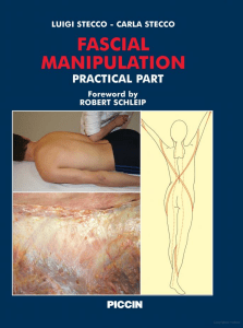 Manipulation Fasciale Pratique Stecco: Guide Thérapeutique