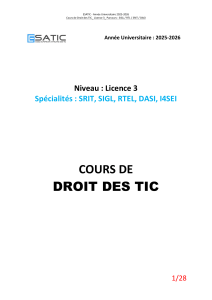25-26 SUPPORT DROIT DES TIC -