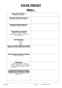 Fiche Projet BAC PRO : Planification et Suivi