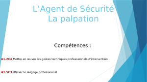 Palpation de sécurité : Formation agent de sécurité