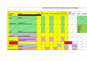 Calendrier de vaccination : Nourrissons et adultes