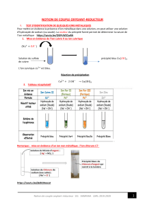 Notion de Couple Oxydant-Réducteur : Identification des Ions et Réactions Redox