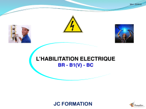 Habilitation &Eacute;lectrique : Formation BR-B1(V)-BC