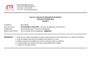 GIA-410 Analyse de Rentabilité de Projets - Devoir 3 - Automne 2025