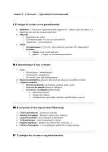 L'entreprise: Organisation et Fonctionnement - Structures et Théories
