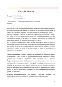 Contr&ocirc;le Interne : Syllabus de Cours Universitaire