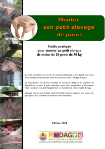 Guide pratique pour monter un petit élevage de porcs (moins de 20)