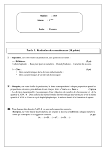 Examen SVT Seconde : Génétique et Divisions Cellulaires