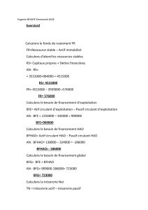 Analyse Financière: Fonds de Roulement, BFG, Trésorerie Nette