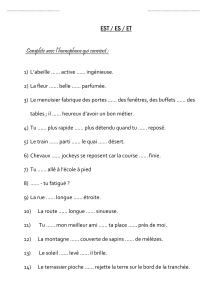 Exercice d'homophones EST ES ET - Grammaire Française