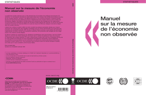 Manuel sur la mesure de l'&eacute;conomie non observ&eacute;e | Statistiques OCDE