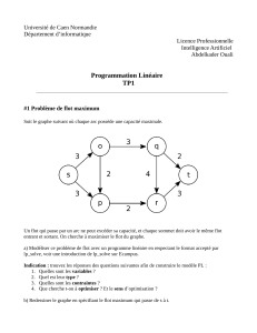 Programmation Linéaire TP1: Flot Maximum, Flot Minimum, Optimisation Agents