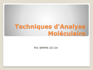 Techniques d'Analyse Moléculaire: Extraction et Purification ADN/ARN