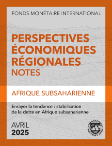Stabilisation de la dette en Afrique subsaharienne - Note du FMI
