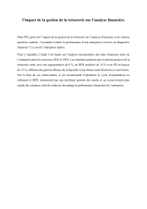 Impact de la gestion de trésorerie sur l'analyse financière - Cas Aptive