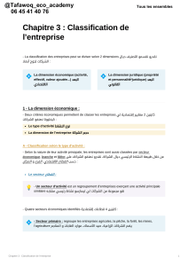 Classification de l'entreprise : Dimensions Économiques et Juridiques