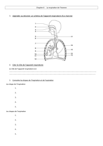 La Respiration de l'Homme: Appareil Respiratoire & Échanges Gazeux
