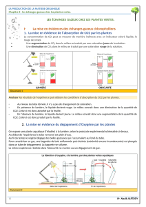 &Eacute;changes Gazeux chez les Plantes Vertes : Photosynth&egrave;se et Stomates
