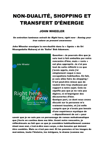 Non-dualité, Shopping et Transfert d'Énergie : Entretien avec John Wheeler