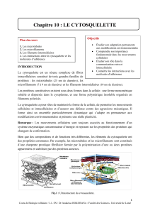 Cytosquelette : Cours de Biologie Cellulaire L1