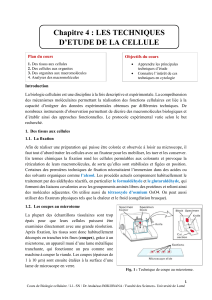 Techniques d'étude de la cellule - Biologie cellulaire L1