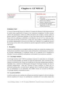 Cours de Biologie Cellulaire : Le Noyau